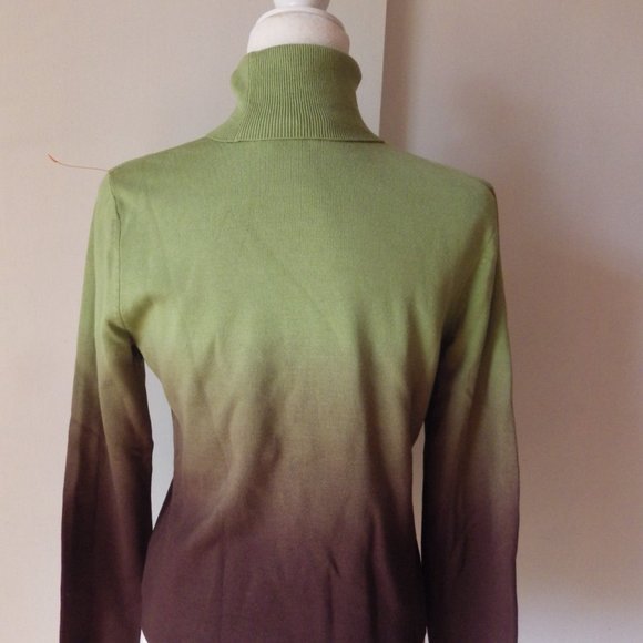 Darjoni Silk Blend Turtleneck Sweater/ Ombre Green to Brown/ Medium - Picture 7 of 9